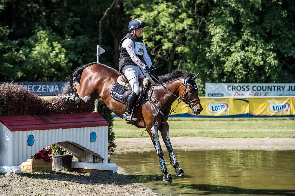 pawelwarszawskistrzegom