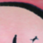 Notes from Orient II