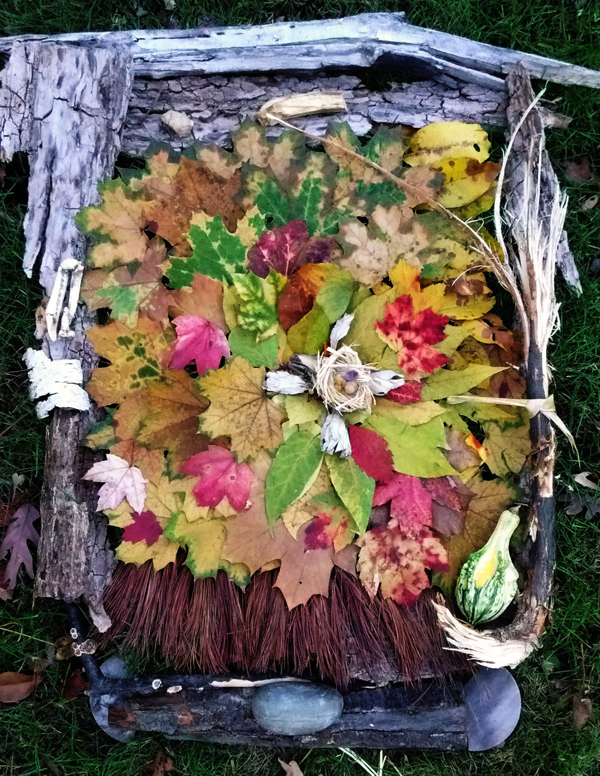 EARTH MEDICINE