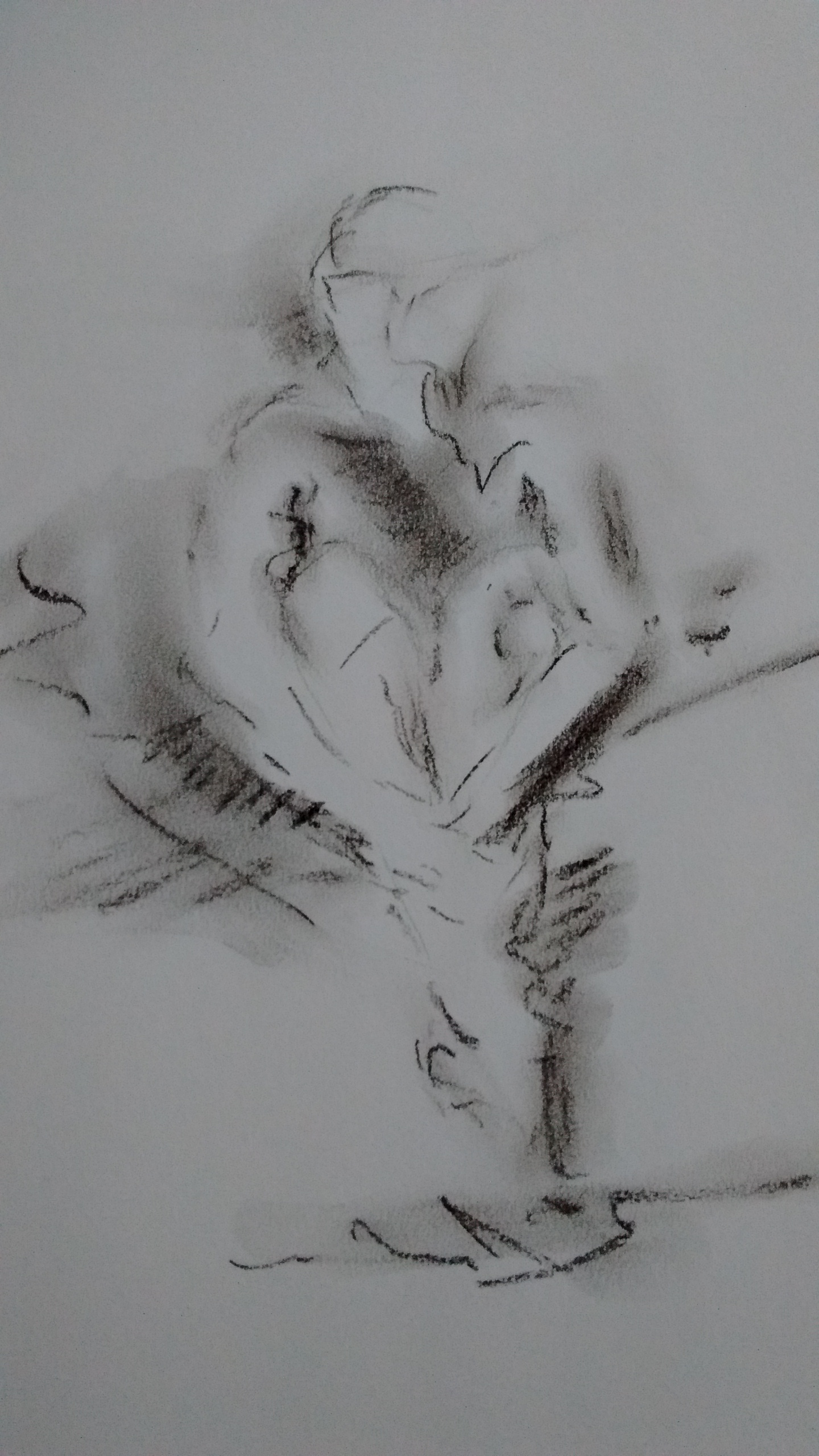 FIGURE STUDY