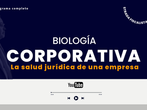 YouTube | Programa completo
