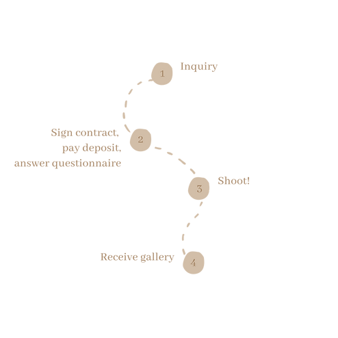 S1P Timeline.png