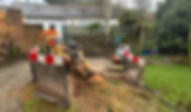 Tree stump being removed by a tree surgeon