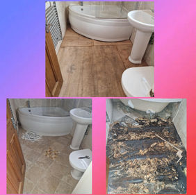 Bathroom project