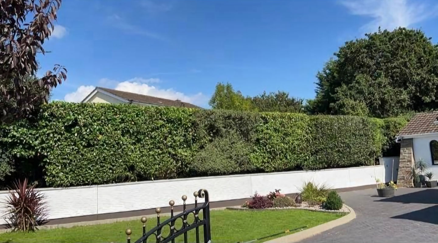 modern home with a drive and a garden