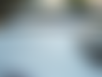 Expert Tips for Tax Preparation Services