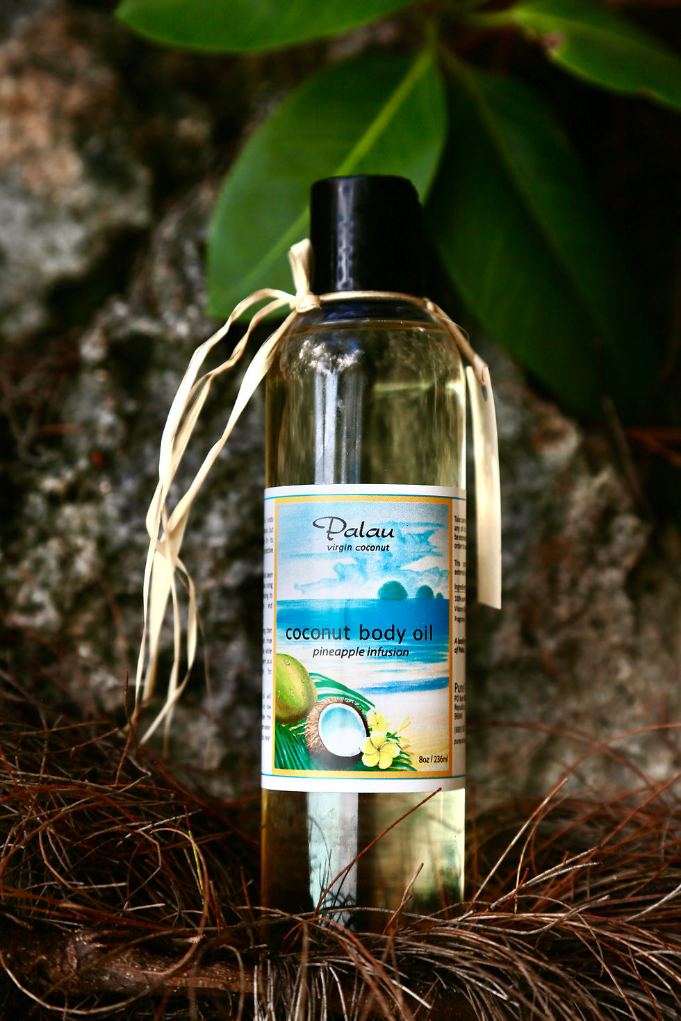 Thumbnail: Coconut Oil Infusions