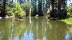 motorola cell pics 1530.jpg