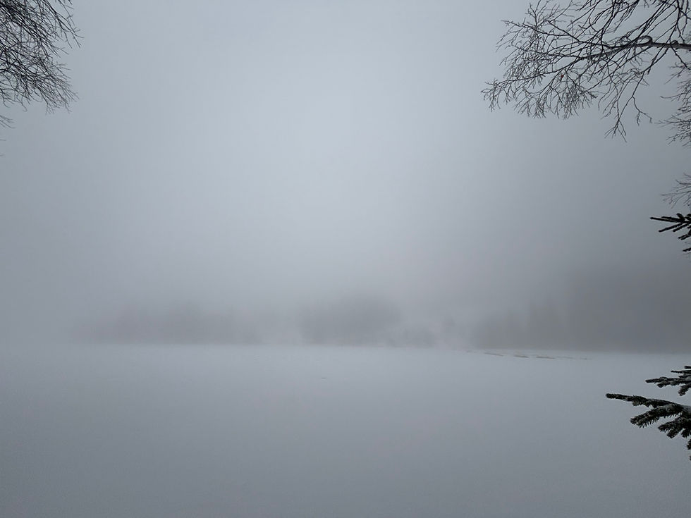 Brouillard sur le lac: A serene winter scene where fog envelopes the frozen lake in Oslo's Marka Forest, creating an ethereal and tranquil atmosphere.