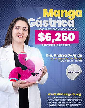 PROMO-MANGA-FEBRERO2026.jpg