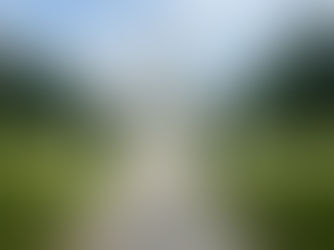 厦門大学での研究滞在