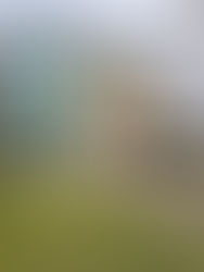 イギリスでの研究滞在