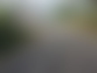 2013 Year in Review: The year the Phoenix learnt to spread its wings