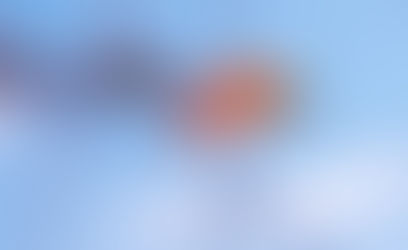 The Importance of Risk Management Over Return Management