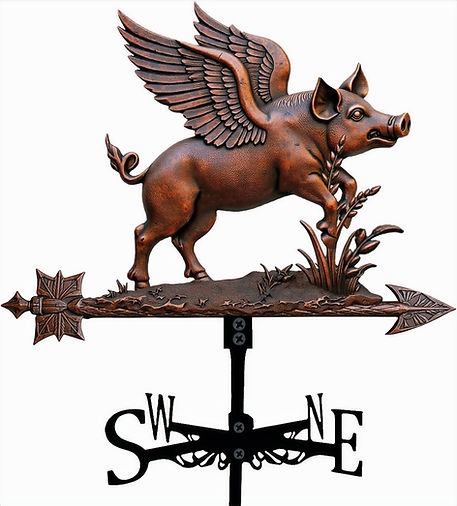 Flying Pig Weathervane 2_edited.jpg