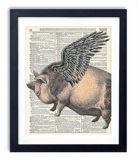 Flying Pig Dictionary Art_edited.jpg