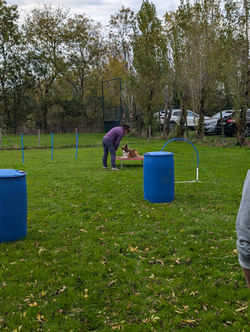 .trashed-1731333105-PXL_20241012_135051295