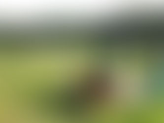 대전 드론자격증 실기교육 팀꾸러기 드론교육원_190709