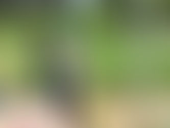 팀꾸러기 무인항공교육원 무인멀티콥터(국가자격증) 교육_180712