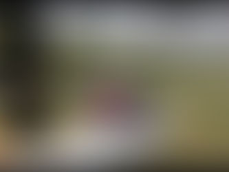 다시보는 비행일지 / 20090322