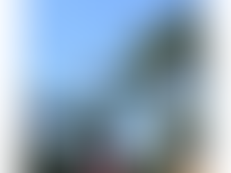 드론전망 / 소나무재선충병 드론 방제 추진_제주매일 발췌