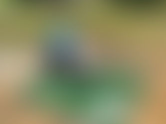 팀꾸러기 무인항공교육원 무인멀티콥터(국가자격증) 교육_180509