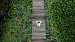 SBS드라마 용팔이