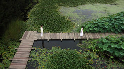 SBS드라마 용팔이