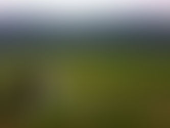 국가자격증과정 교육