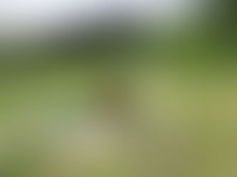 대전 드론자격증 실기교육 팀꾸러기 드론교육원_190627