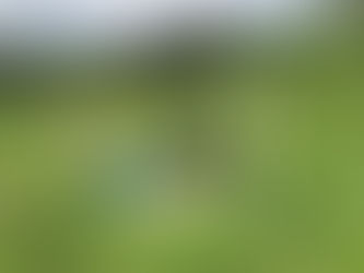 대전 드론자격증 실기교육 팀꾸러기 드론교육원_190729