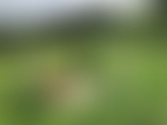 대전 드론자격증 실기교육 팀꾸러기 드론교육원_190731