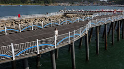 OCN드라마 아름다운나의신부