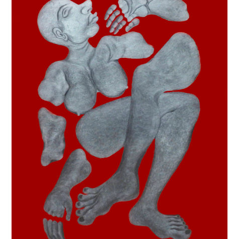Anatomy of a Democracy
Acrylic. A fragmented self. A women in fragments. Vibrant red. Communist. Art activist.
