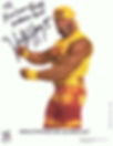 Hulk Hogan