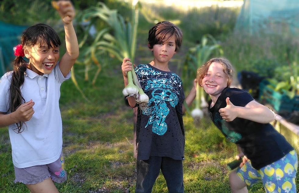 Frome Field 2 Fork CIC