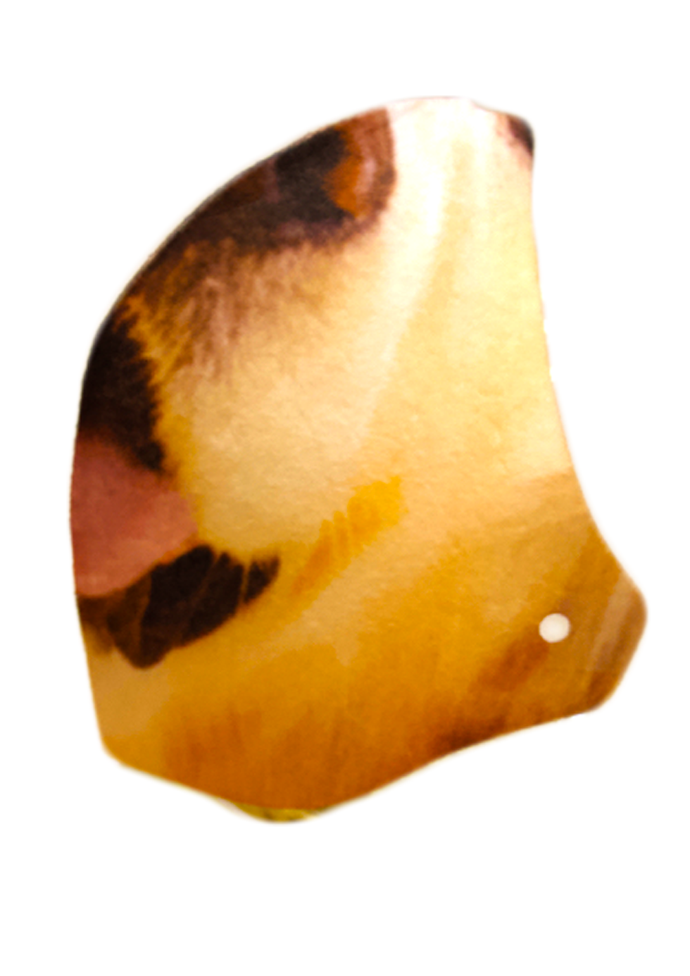 Miniatura: Máscara de proteção Facial Focinho de Labrador