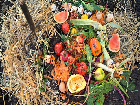 COMPOSTING ESSENTIALS
