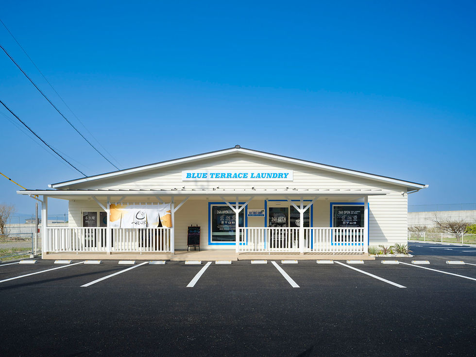 BLUE TERRACE LAUNDRY