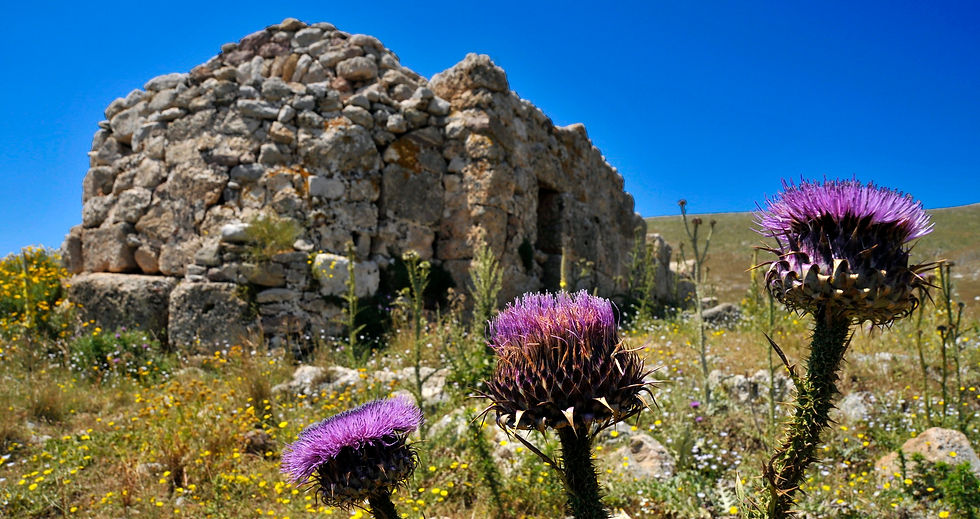 POSEIDON TEMPLE TENARON