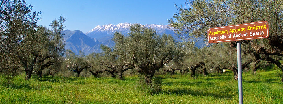 Tour in Sparta