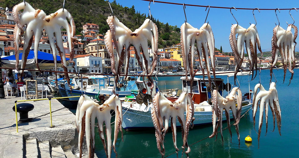 OCTOPUS