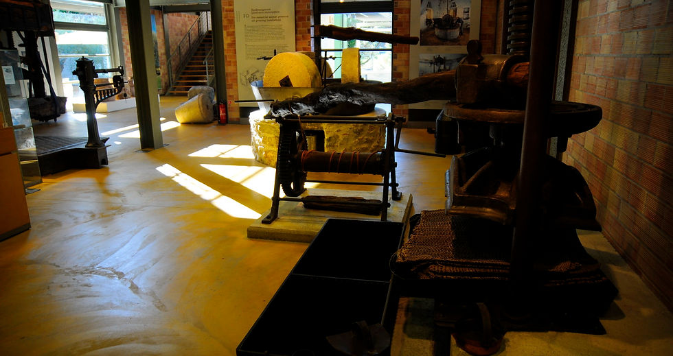 OLIVE OIL MUSEUM