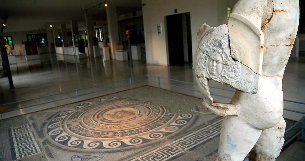 DION MUSEUM / MEDUSA