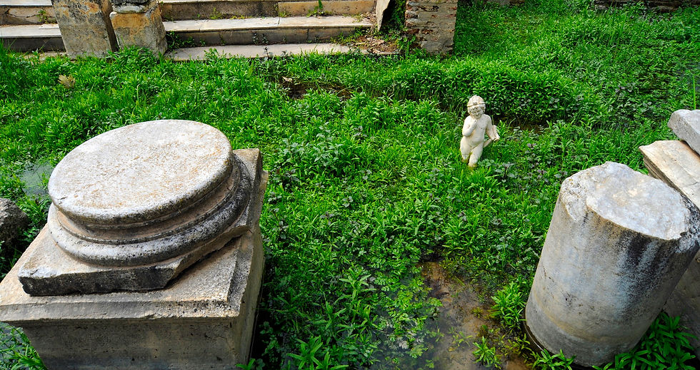 ANCIENT DION