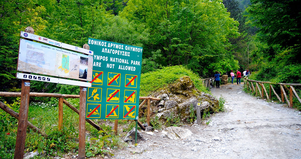 MOUNT OLYMPUS HIKING