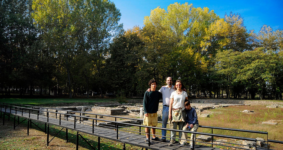 DION SITE