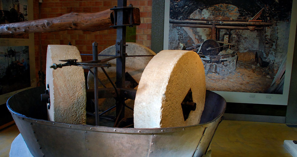 OLIVE OIL MUSEUM