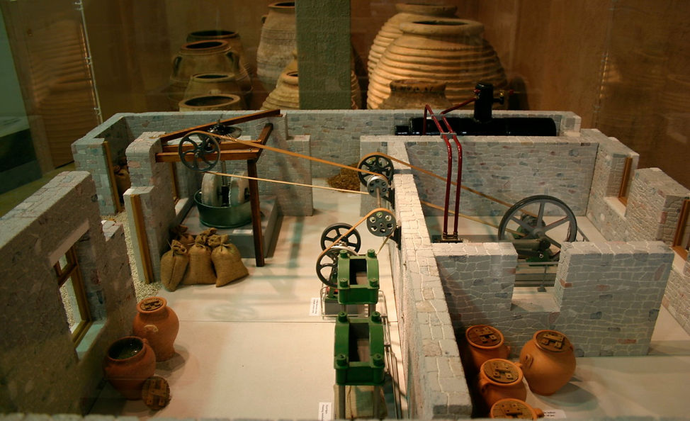 Sparta Olive Oil Museum