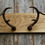 Thumbnail: Pair of Antlers on Oak Board
